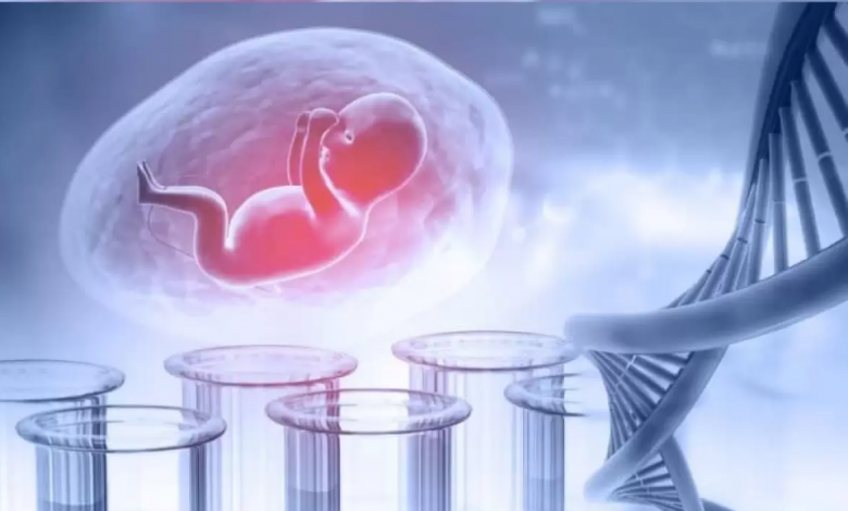 Fetal DNA Testi Nedir? Neden Yapılır?