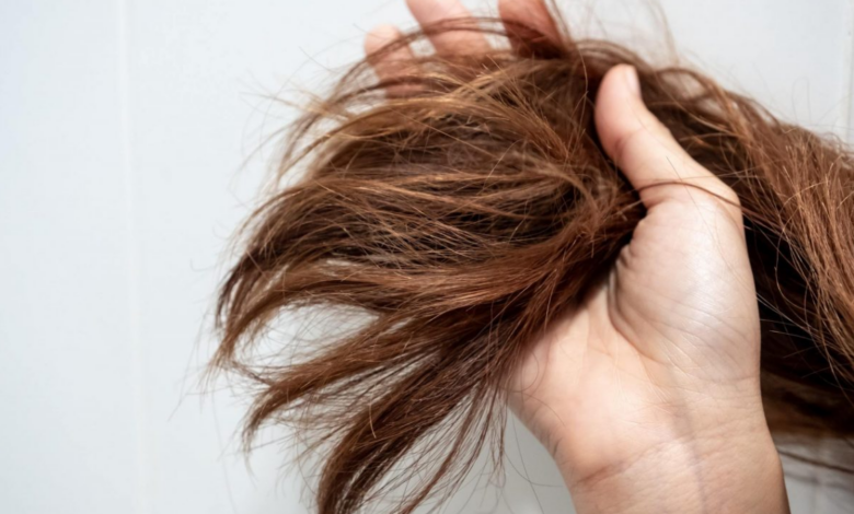 Kuru ve Yıpranmış Saç Bakımı Nasıl Yapılmalı