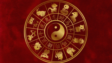 Kişilik Gelişiminde Çin Astrolojisi Rolü Nedir